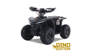 E-Hawk 6 – Denago Powersports