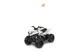 Arctic Cat Alterra 110